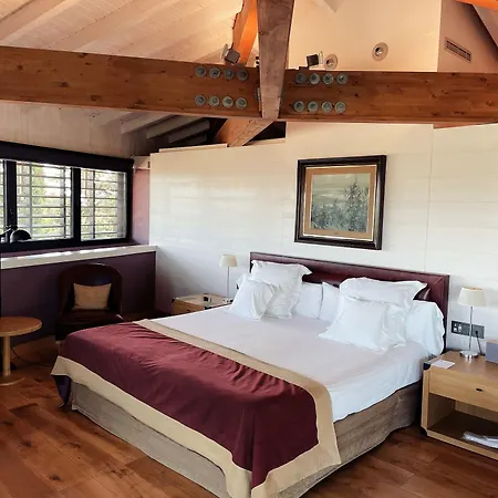 Hotel Mas La Boella 4*
